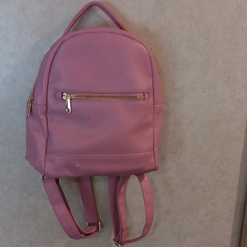 Wild Fable Pink Backpack with Gold Accents